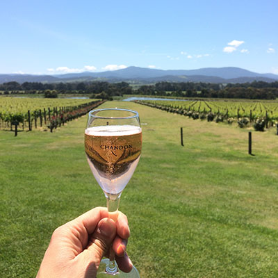 Weintour ins Yarra-Valley zum Ende der Reise