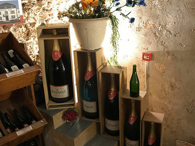 Bei C Comme im Keller