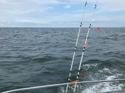 Auf dem Weg zum nächsten Fangplatz