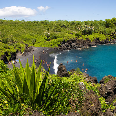 Cheeseburger in Paradise