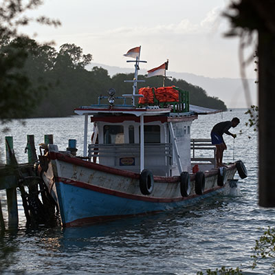 Im Ujung Kulon Nationalpark im Westen Javas