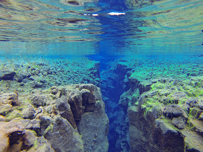 Schnorcheln in der Silfraspalte