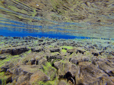 Schnorcheln in der Silfraspalte