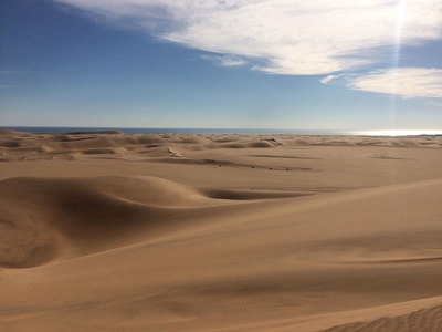Sandboarding in den Dünen vor Swakopmund