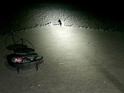 Besucher in der Nacht