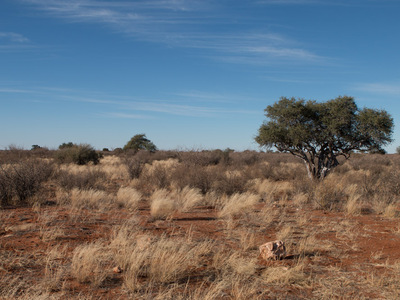 Landschaft am Campingplatz