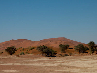 Auf dem Weg ins Sossusvlei