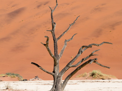 Deadvlei