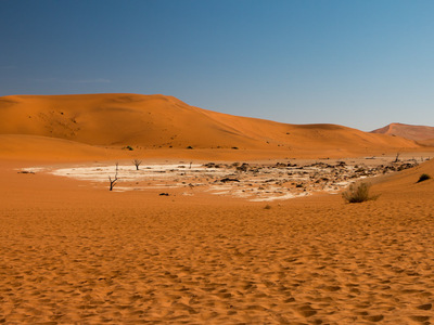Deadvlei