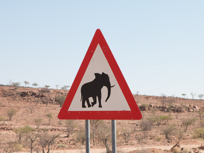 Warnung vor den Elefanten