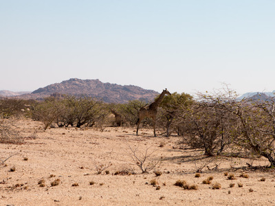 Twyfelfontein