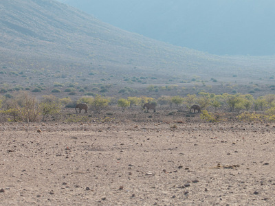 Auf dem Weg zur Hoada Campsite