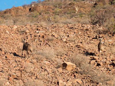 Auf dem Weg zur Hoada Campsite