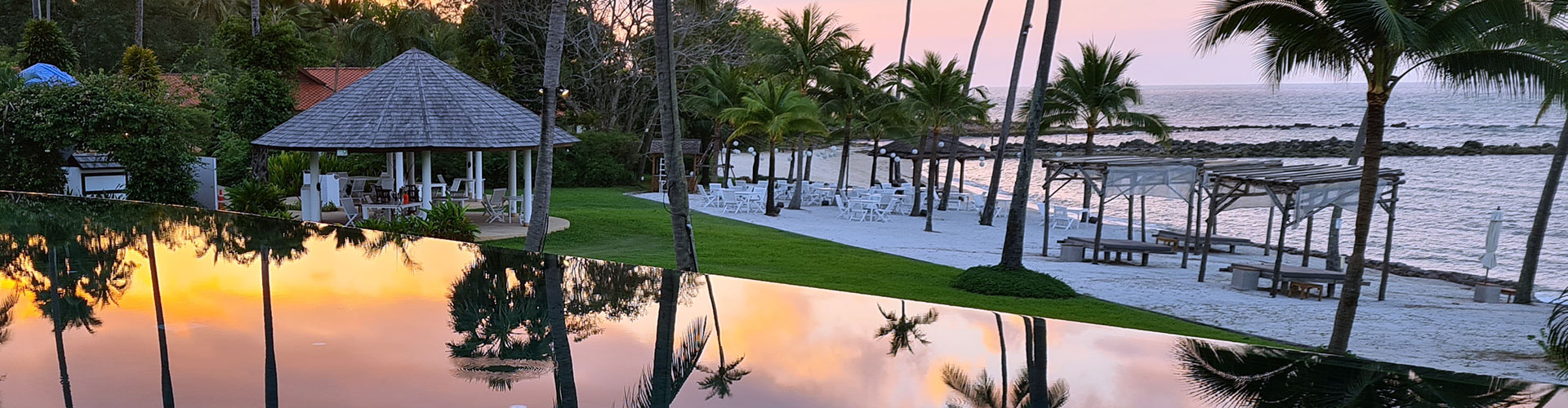 Weihnachten unter Palmen